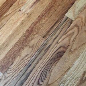 Meet your Posher, Josephine